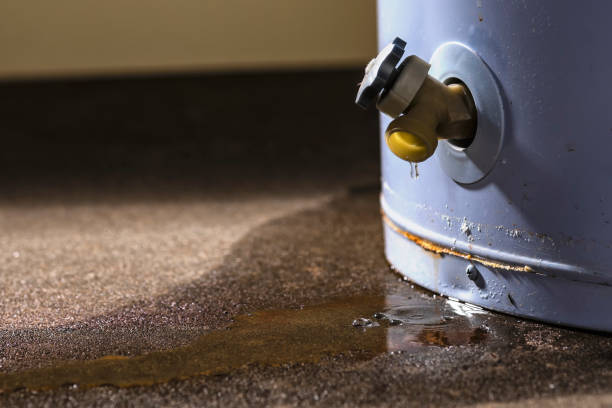 Best Water damage restoration cost  in Evanston, IL
