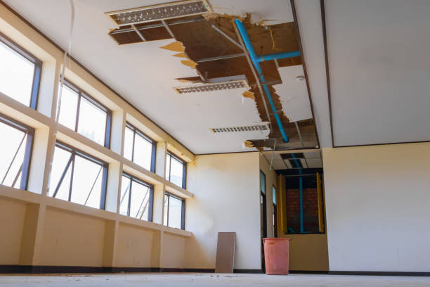 Best Water damage cleanup near me  in Evanston, IL