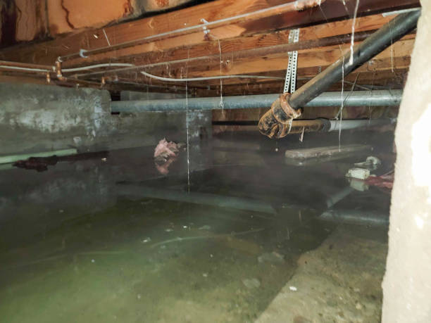 Best 24-hour water damage restoration  in Evanston, IL