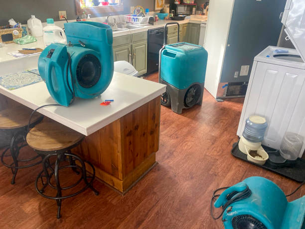 Best Sewage cleanup and water damage restoration  in Evanston, IL