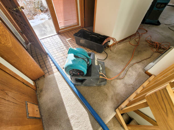 Best Ceiling water damage repair  in Evanston, IL