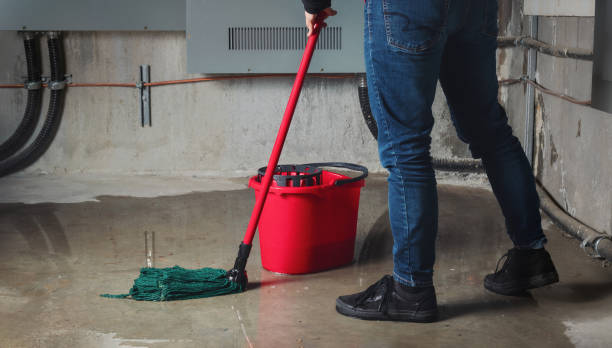 Best Commercial water damage restoration  in Evanston, IL