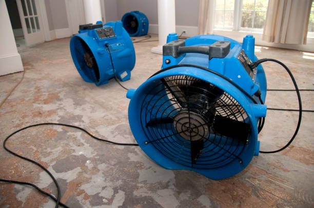 Best Emergency water damage restoration  in Evanston, IL