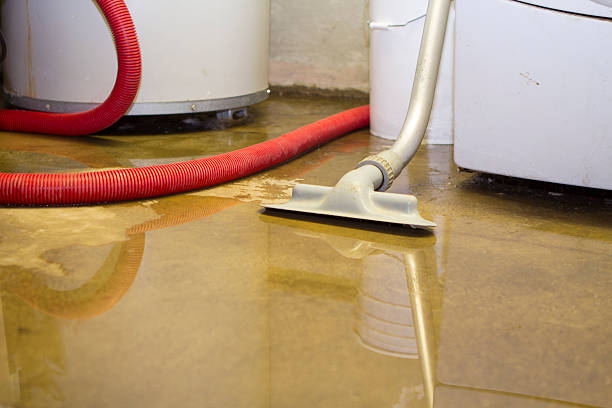 Best Mold removal after water damage  in Evanston, IL