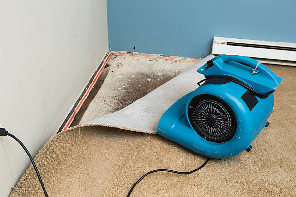 Best Water damage restoration experts  in Evanston, IL