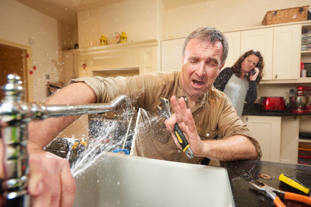 Best Mold removal after water damage  in Evanston, IL